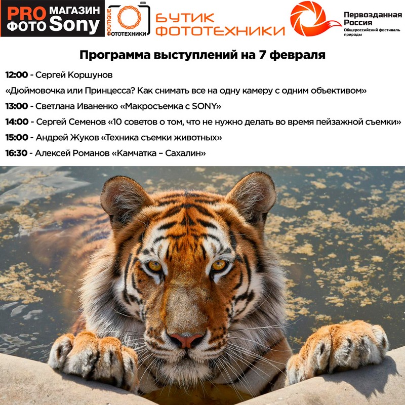 День Sony на фестивале "Первозданная Россия"