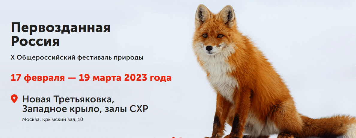 В Москве пройдёт десятый Общероссийский фестиваль дикой природы «Первозданная Россия»